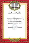 Диплом УО Чановского района за лучший проект, 2006 г.